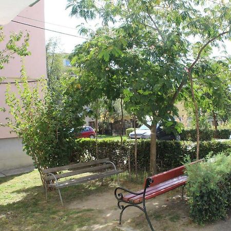 Apartament Anca Târgu Ocna Exterior photo